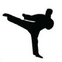 tkd (1K)